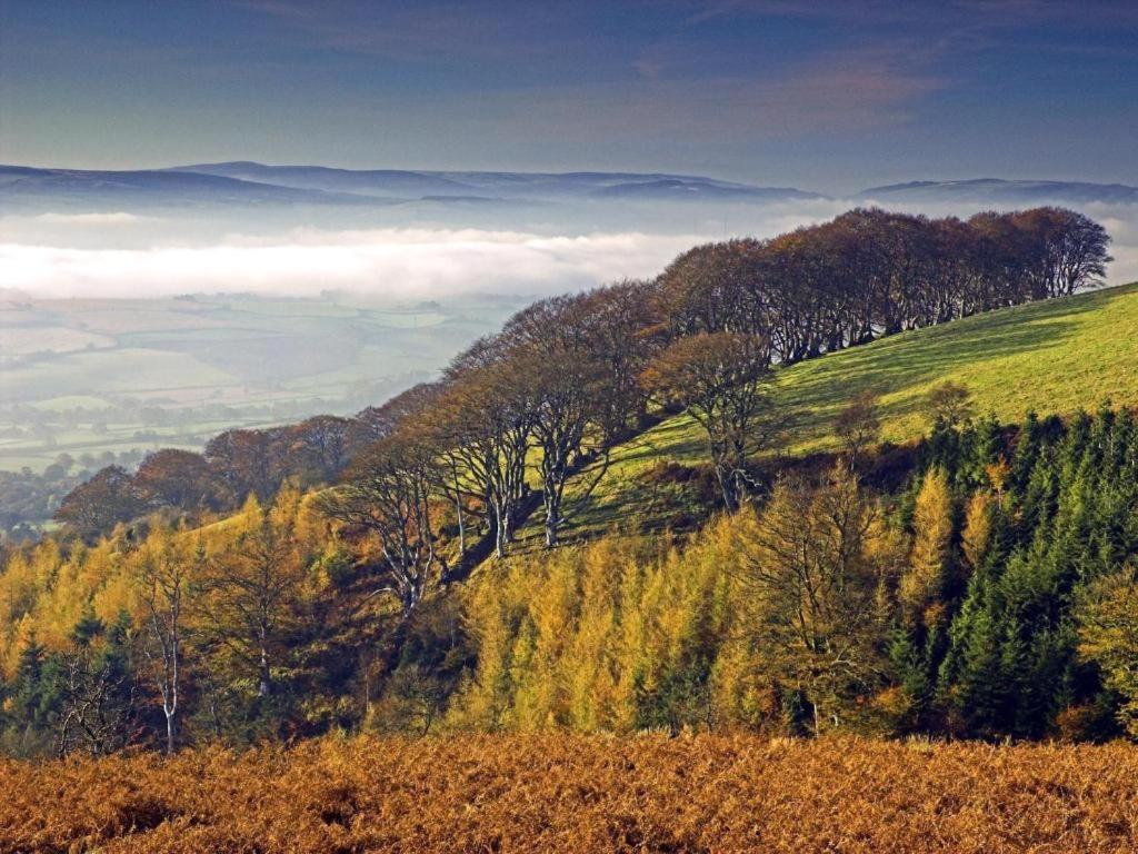 Notley Arms Inn Exmoor National Park Elworthy Dış mekan fotoğraf