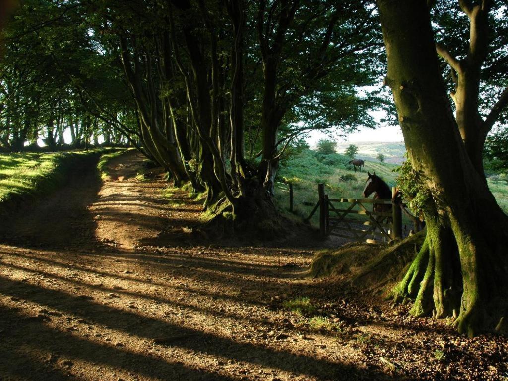 Notley Arms Inn Exmoor National Park Elworthy Dış mekan fotoğraf