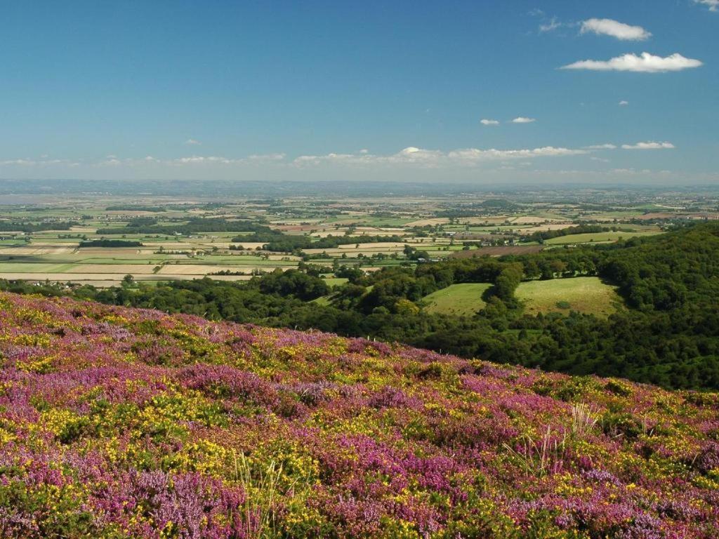 Notley Arms Inn Exmoor National Park Elworthy Dış mekan fotoğraf